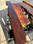 AZ Sonoran Desert Ironwood FREE SHIPPING