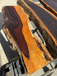 AZ Sonoran Desert Ironwood FREE SHIPPING