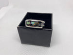 Stainless Steal Ring with Paua ( Abalone )